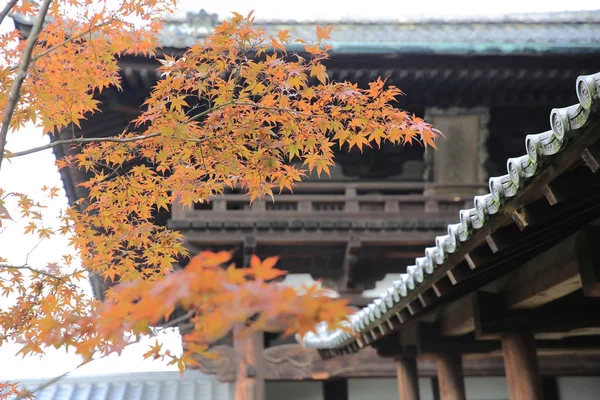 Japan Kyoto Tofukuji Temple roof with Japanese maple tree in for — Stock Photo, Image