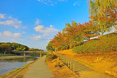 Sonbahar seaon Kyoto, Japonya Kamo Nehri