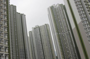 Kowloon'un tat arazide