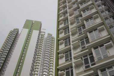 Kowloon'un tat arazide