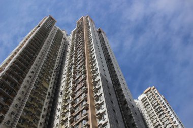 lam teneke evde kamu