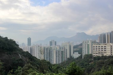 Yeni temiz su defne yol