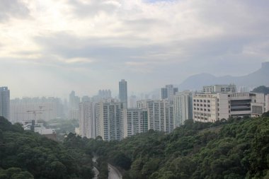 Yeni temiz su defne yol