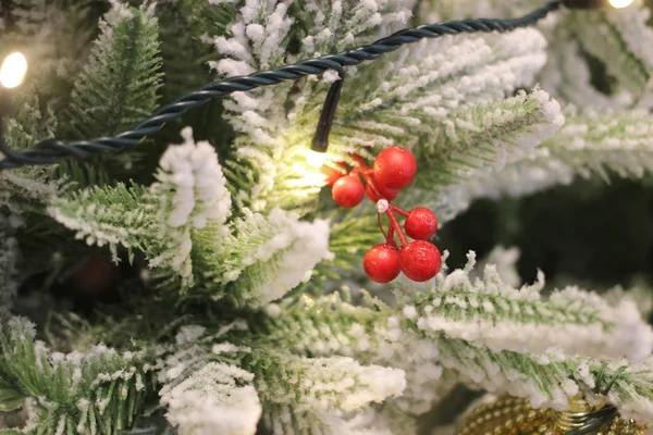 Vakantie geïsoleerde decoratie op de boom — Stockfoto