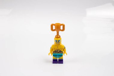  LEGO inşaat oyuncak popüler bir çizgidir