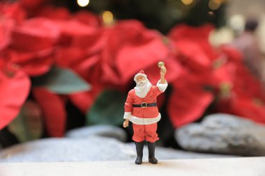 Kırmızı Poinsettia ile Santa