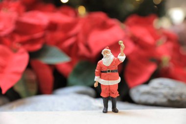 Kırmızı Poinsettia ile Santa