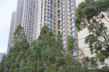 Bölge, Tsz Wan Shan