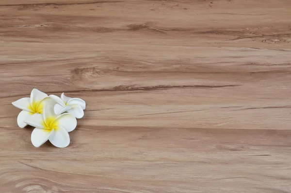 flower decor frame on wood background