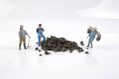 minyatür işçi, çay ile çalışma