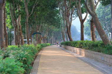 adam Tung Rd, Tung Chung