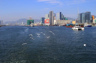 Kowloon Körfezi ile tayfun barınak 