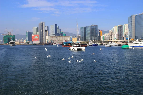 Kwun Tong Typhoon Shelter, hk — Foto Stock