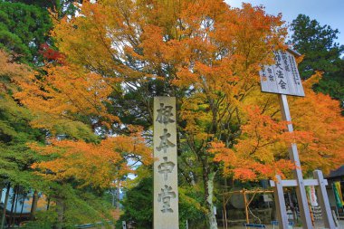  Güzel sonbahar, sonbahar manzara Kyoto, Japonya