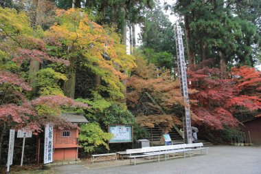  Güzel sonbahar, sonbahar manzara Kyoto, Japonya