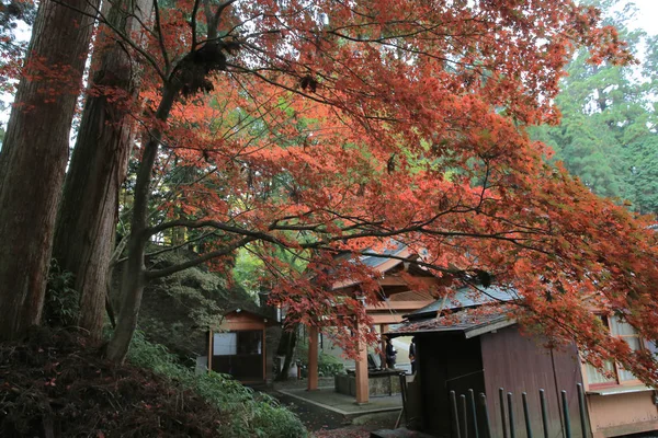 Vackra höst, höstlandskap Kyoto, Japan — Stockfoto