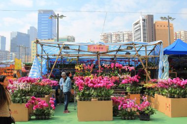 Ay yeni yıl adil tavuk yıl