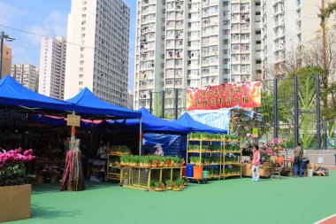 Ay yeni yıl adil 2017