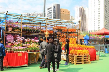 Ay yeni yıl adil tavuk yıl