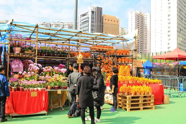 Ay yeni yıl adil tavuk yıl