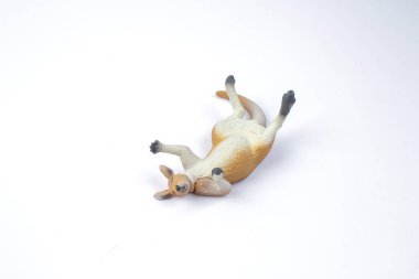 Kanguru plastik oyuncaklar 