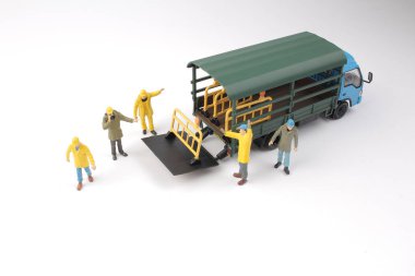 mini Yani rakam grubu 