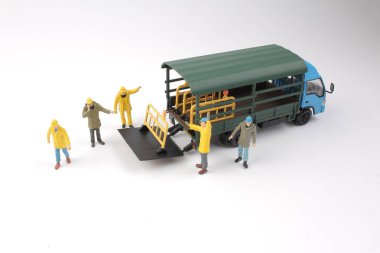 mini Yani rakam grubu 