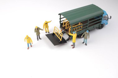 mini Yani rakam grubu 