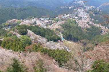Yoshino Mikumari Tapınak, Yoshinoyama, Nara, Japonya