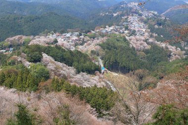 Yoshino Mikumari Tapınak, Yoshinoyama, Nara, Japonya