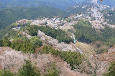 Yoshino Mikumari Tapınak, Yoshinoyama, Nara, Japonya