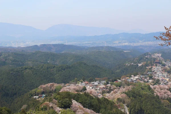 Yoshino Mikumari sanktuarium, Yoshinoyama, Nara, Japonia — Zdjęcie stockowe