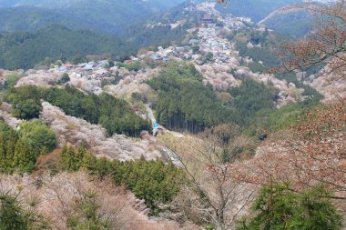 Yoshino Mikumari Tapınak, Yoshinoyama, Nara, Japonya