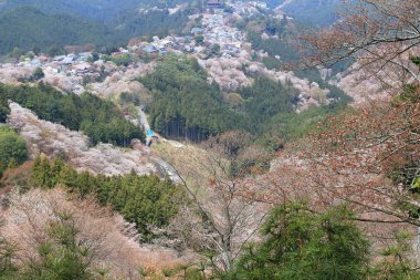 Yoshino Mikumari Tapınak, Yoshinoyama, Nara, Japonya