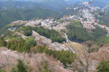 Yoshino Mikumari Tapınak, Yoshinoyama, Nara, Japonya