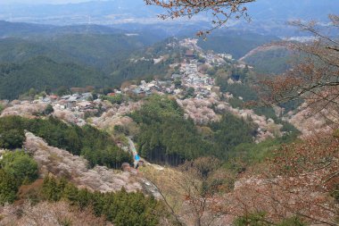 Yoshino Mikumari Tapınak, Yoshinoyama, Nara, Japonya