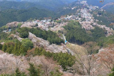  Yoshino Mikumari Tapınak, Yoshinoyama, Nara, Japonya