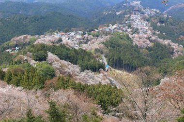  Yoshino Mikumari Tapınak, Yoshinoyama, Nara, Japonya