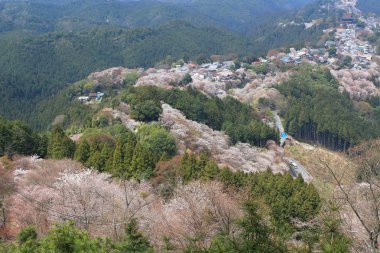  Yoshino Mikumari Tapınak, Yoshinoyama, Nara, Japonya