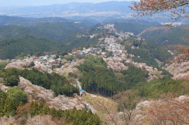  Yoshino Mikumari Tapınak, Yoshinoyama, Nara, Japonya