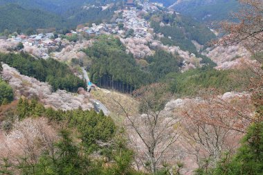  Yoshino Mikumari Tapınak, Yoshinoyama, Nara, Japonya