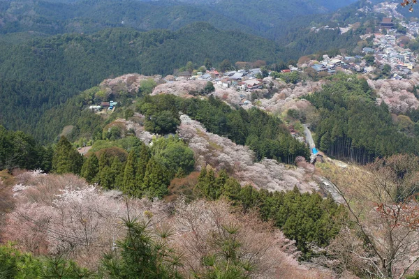 奈良県吉野水分神社の吉野山 — ストック写真