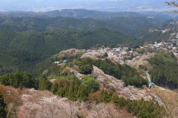 奈良県吉野水分神社の吉野山 — ストック写真