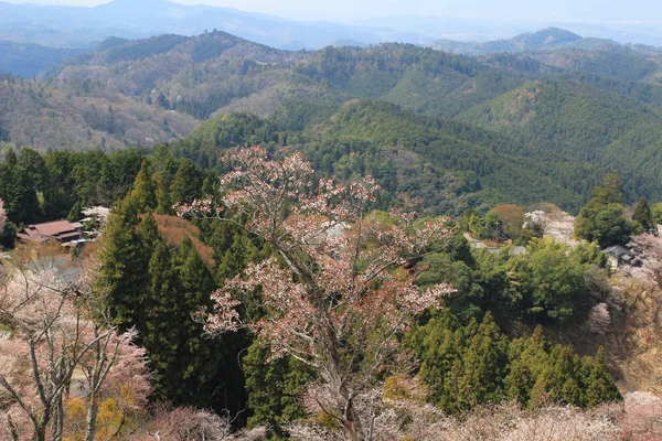 O Santuário Yoshino Mikumari, Yoshinoyama, Nara, Japão — Fotografia de Stock