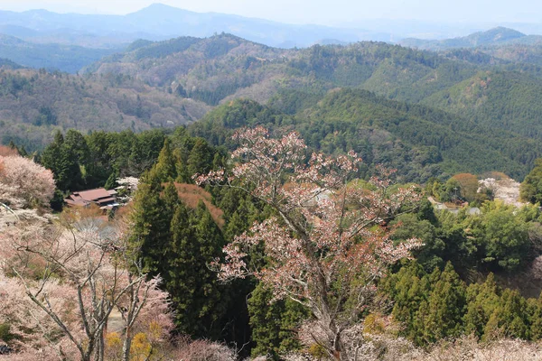 Yoshino Mikumari kegyhely, Yoshinoyama, Nara — Stock Fotó