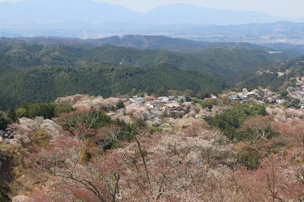 Santuário Yoshino Mikumari, Yoshinoyama, Nara — Fotografia de Stock