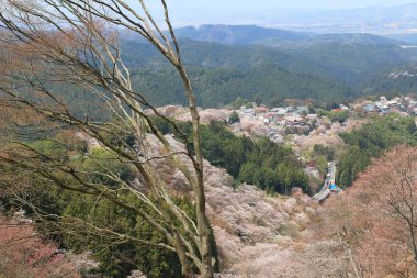  Yoshino Mikumari Tapınak, Yoshinoyama, Nara, Japonya