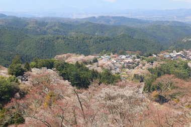 Yoshino Mikumari Tapınak, Yoshinoyama, Nara, Japonya