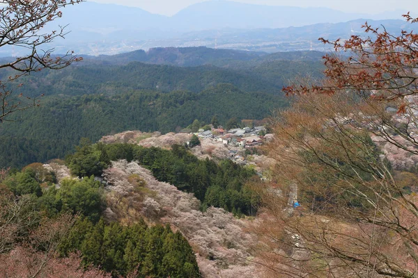 Santuario Yoshino Mikumari, Yoshinoyama, Nara —  Fotos de Stock