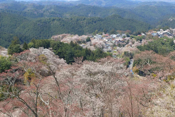 Nara Yoshino Mikumari svatyně, Yoshinoyama, — Stock fotografie